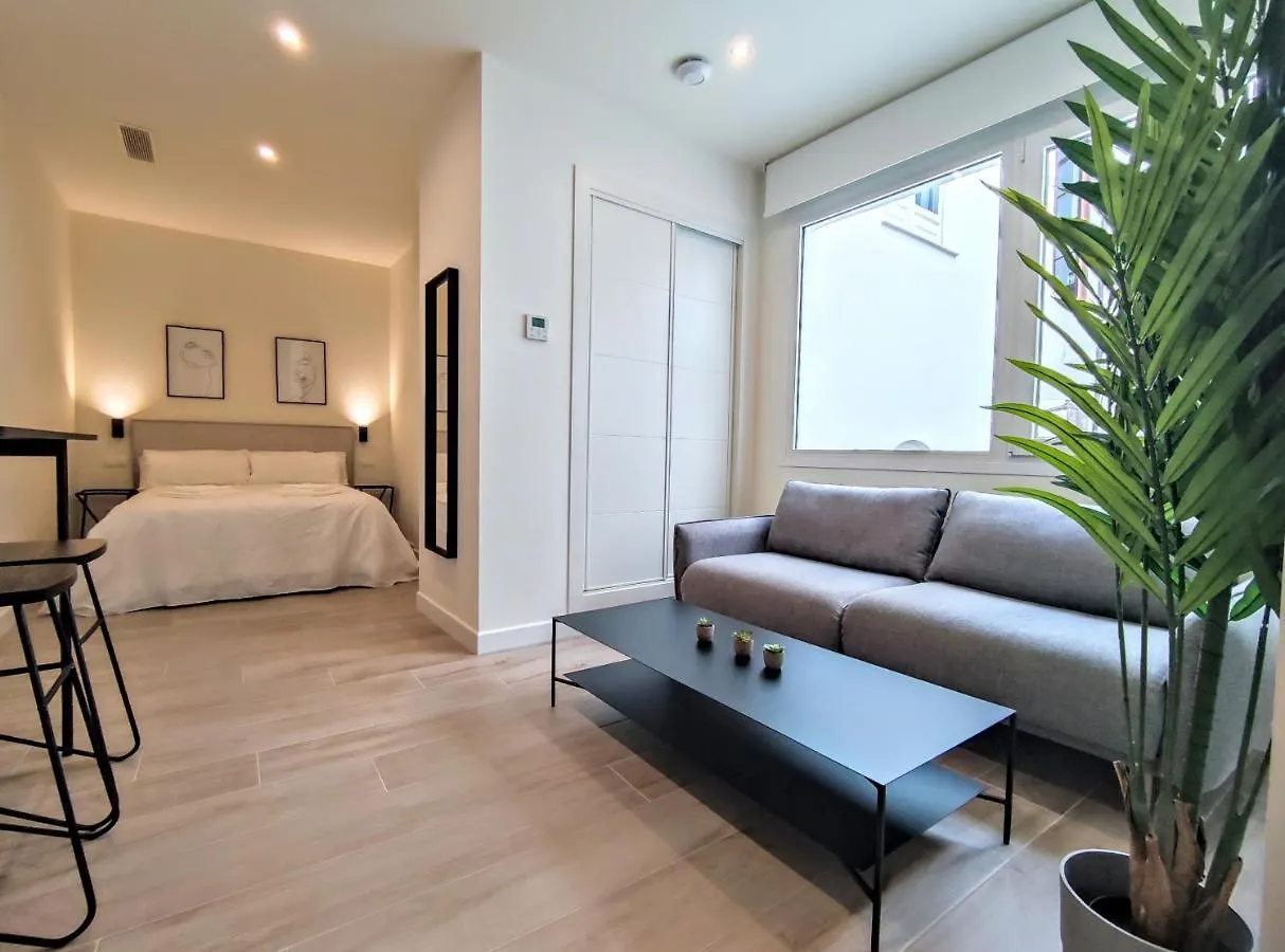 Edificio Duque Apartment Malaga 0*,