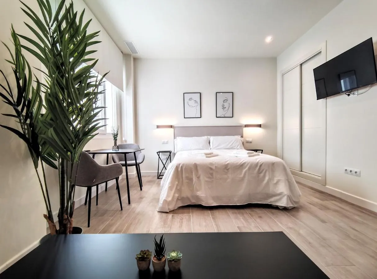 Edificio Duque Apartment Malaga Spain