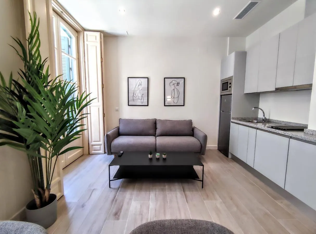 Edificio Duque Apartment Malaga 0*,  Spain